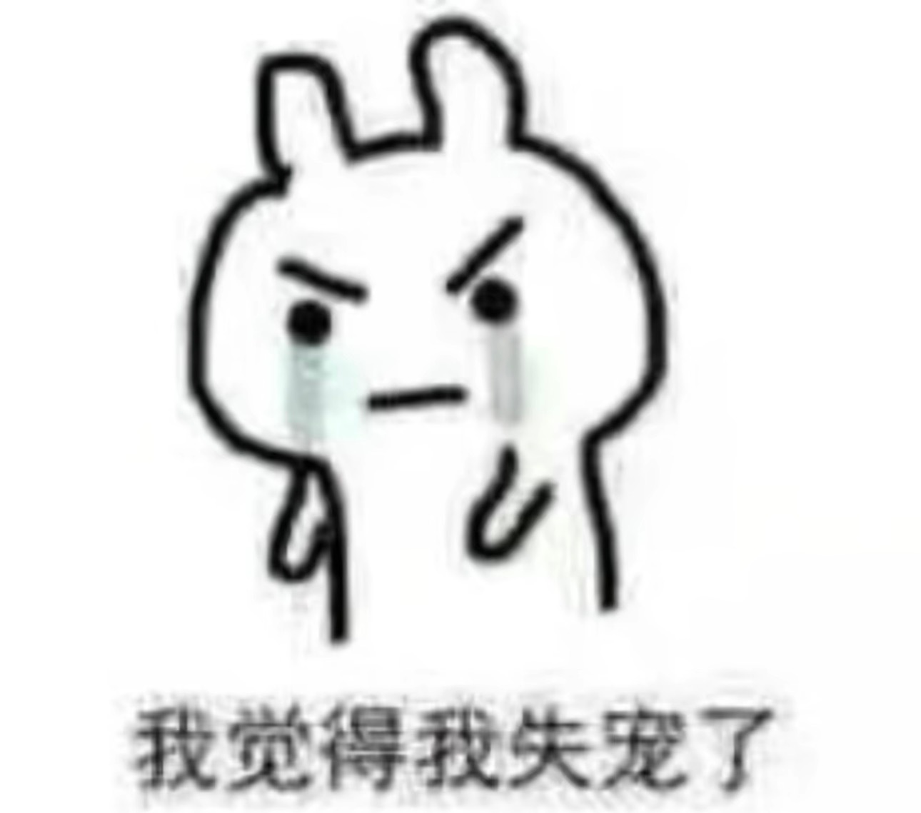 你好久没有和我互动了，你找到比我更乐子的人了吗？然后呢，就留我一个人孤零零的在这