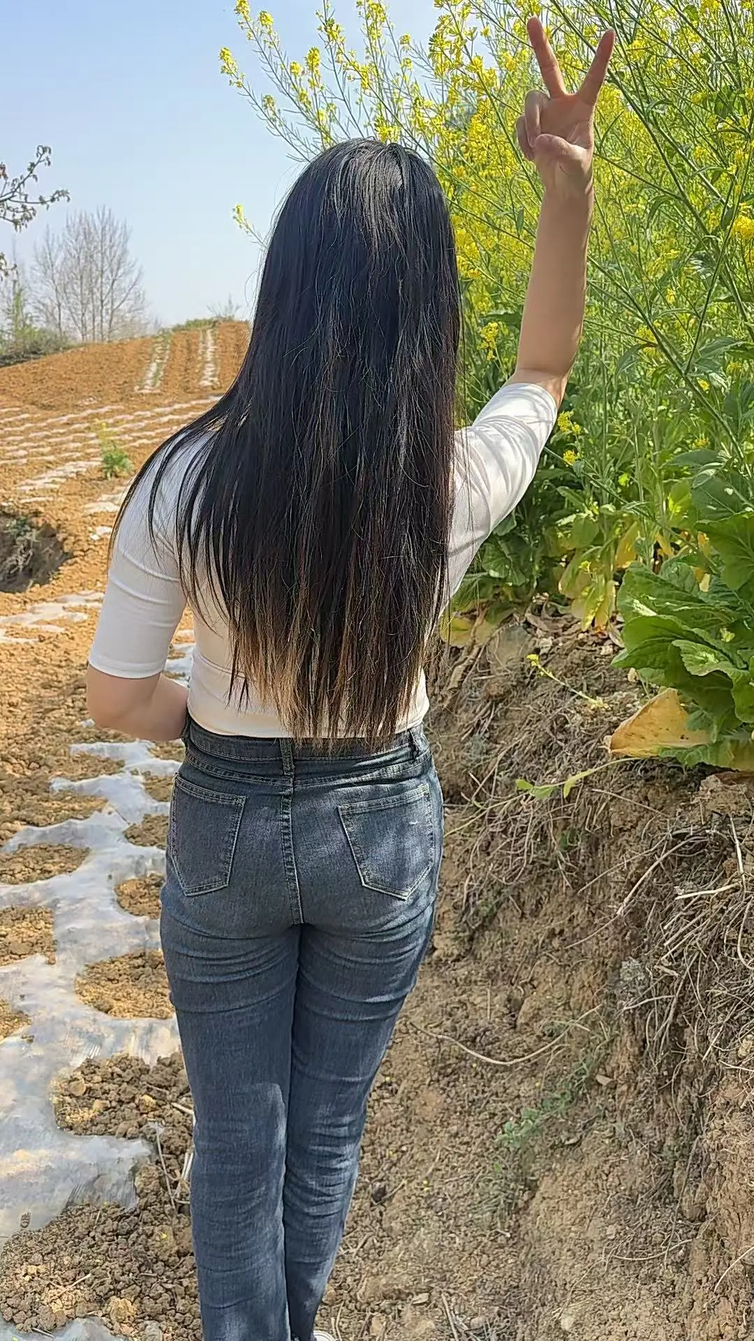 乡村田间行走 背影 户外