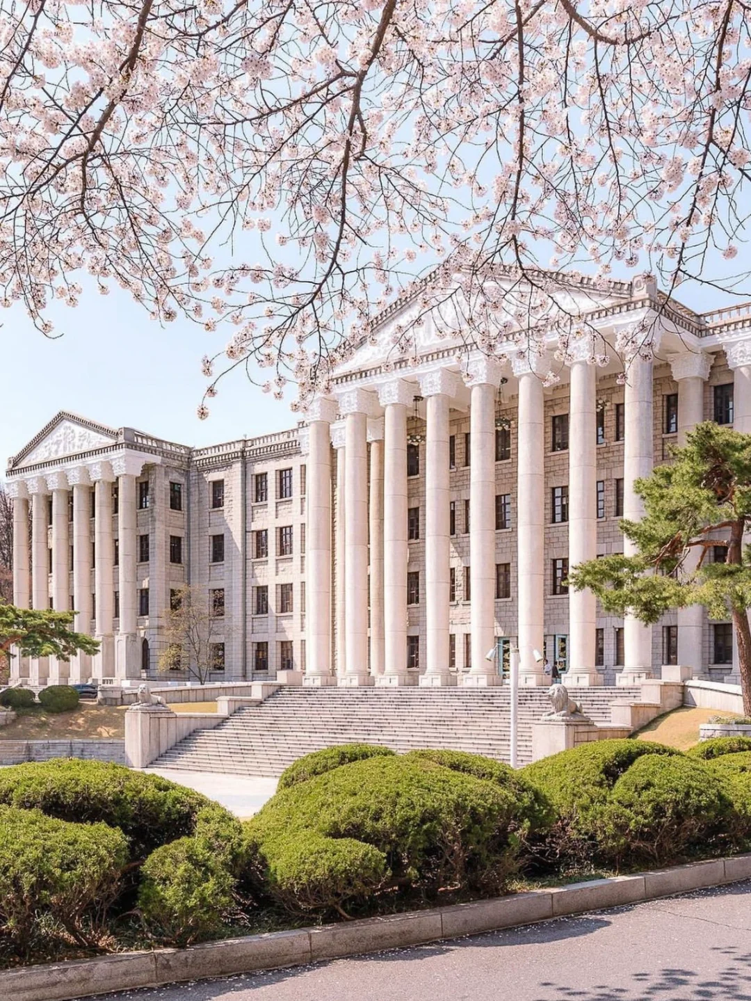 欧式哥特风建筑⛪️这竟然是亚洲的大学校园！