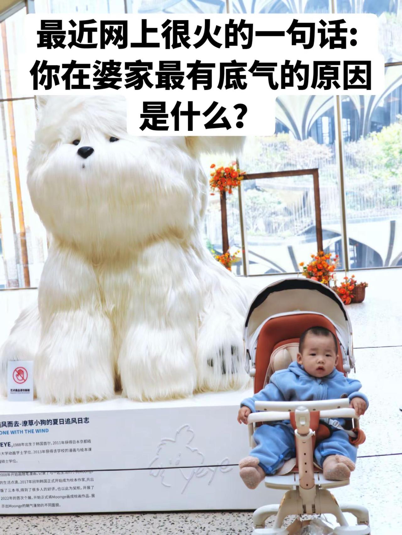 最近网上很火的一句话: 你在婆家最有底气的原因是什么？