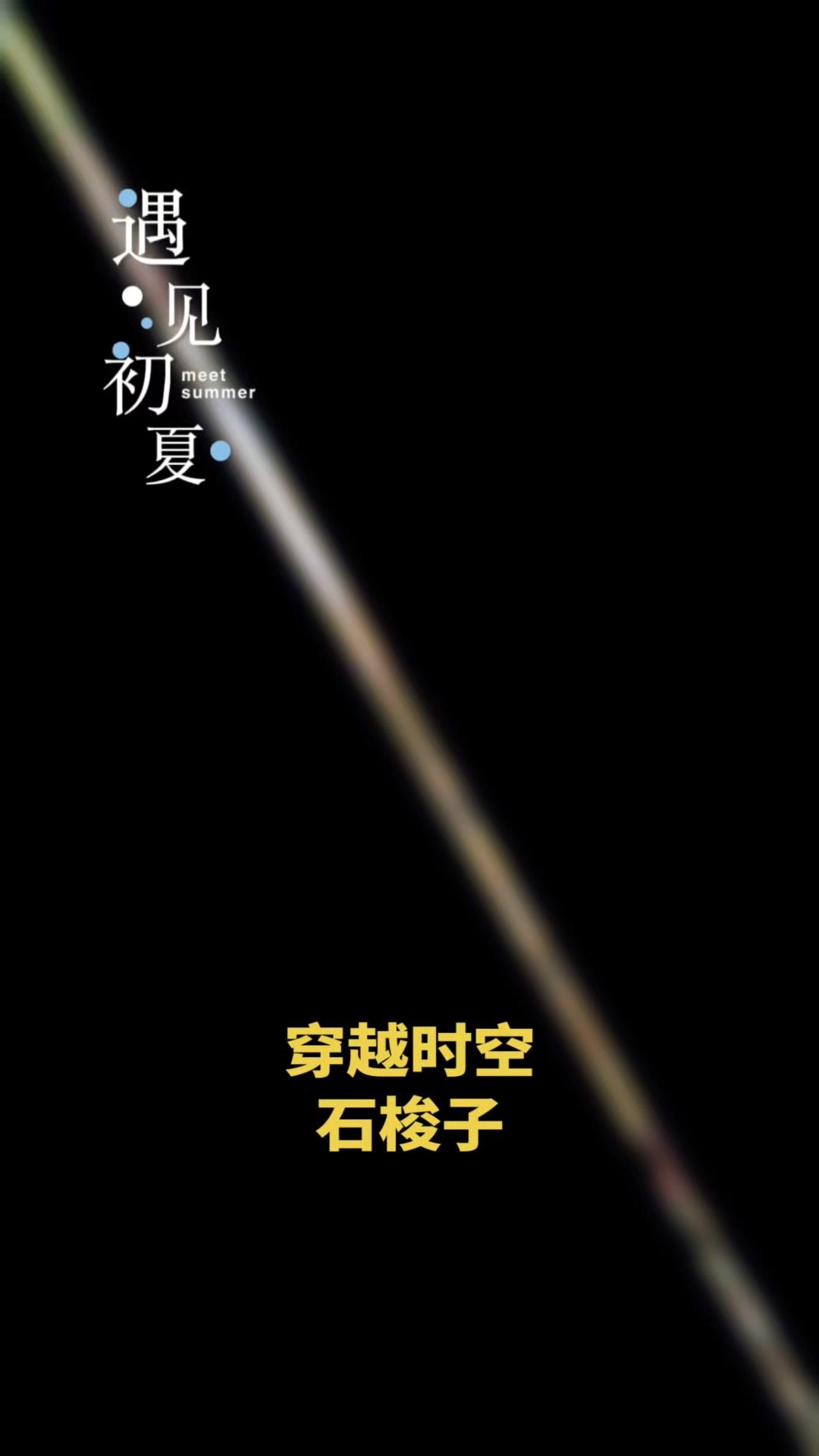 🔥这“时空穿梭石梭子”太绝了！户外捡石时发现这块定向特征明显的石头，表面的强吸