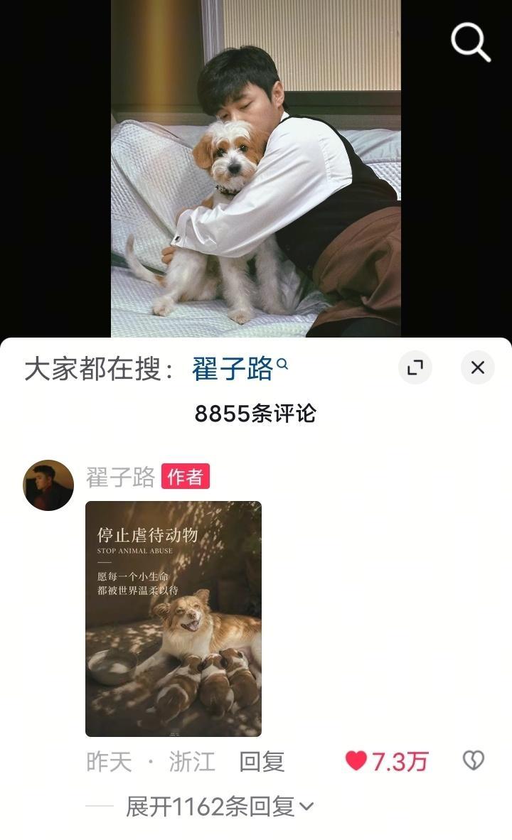 才看到子路为揭阳案件声援了，子路乃天使 