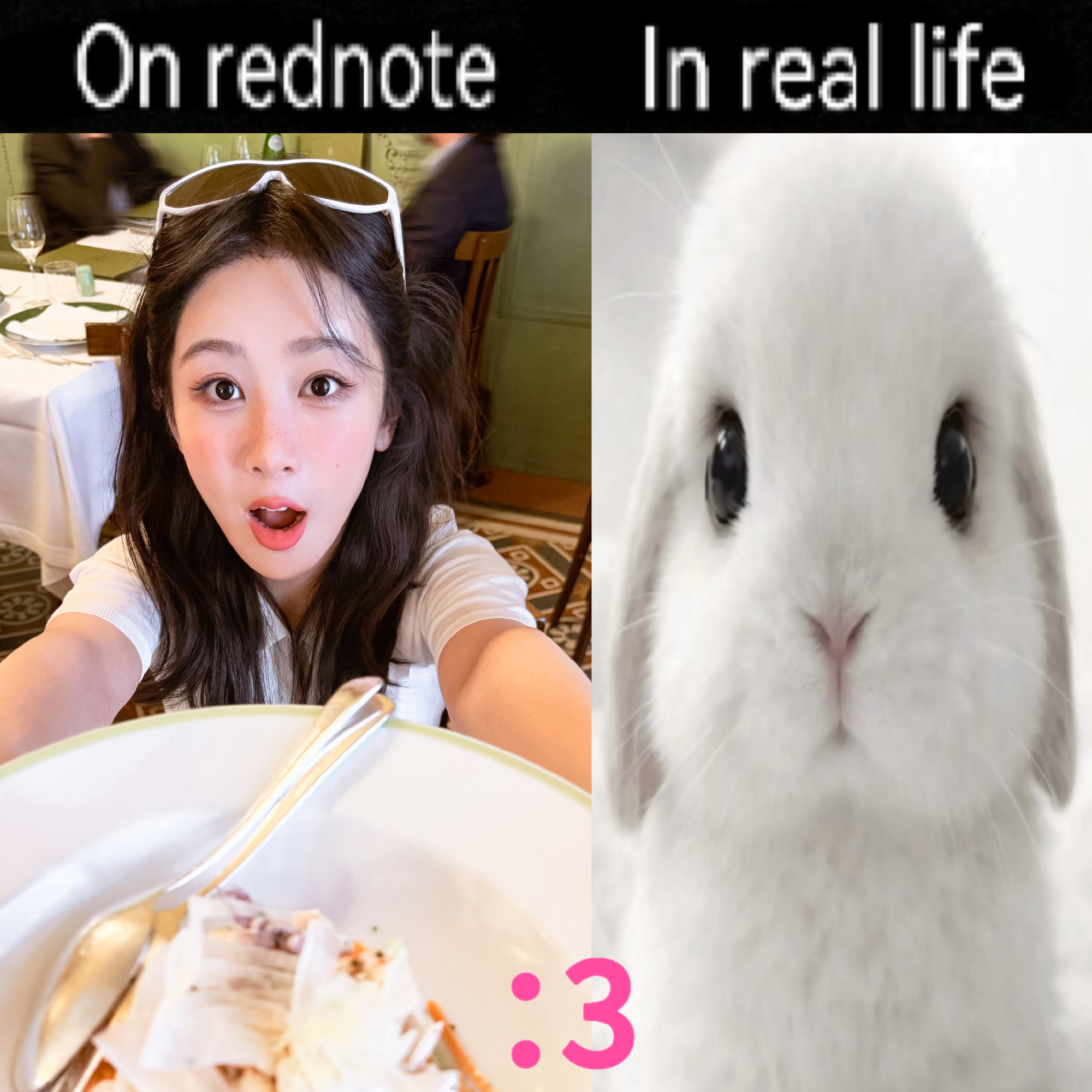 我不会放过兔塑的🥰 