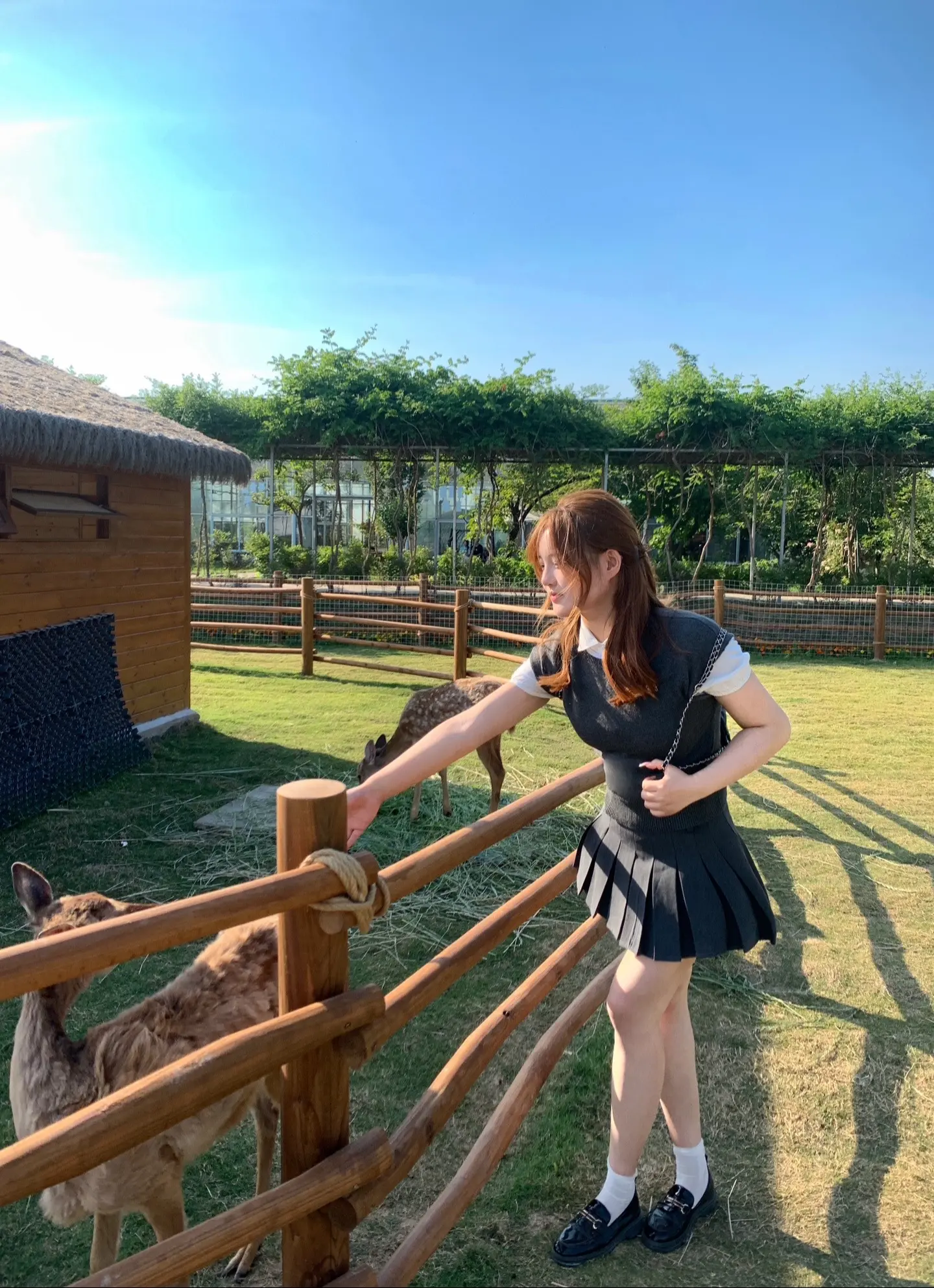 🐄农场Day's
