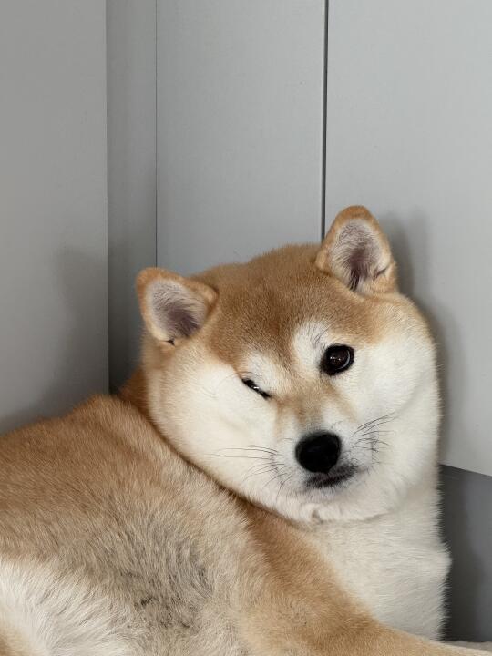 眼睛挤没辣😝