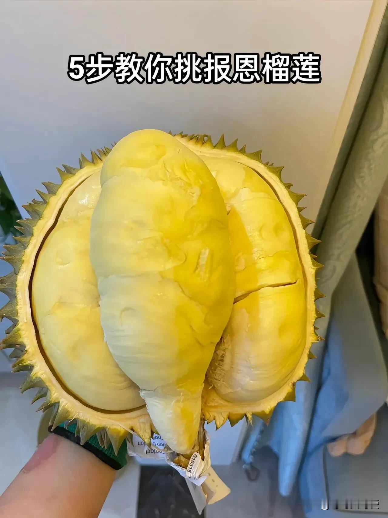 5步教你挑出报恩榴莲 从此告别次品榴莲！

榴莲虽说是“水果之王”，但挑选榴莲可