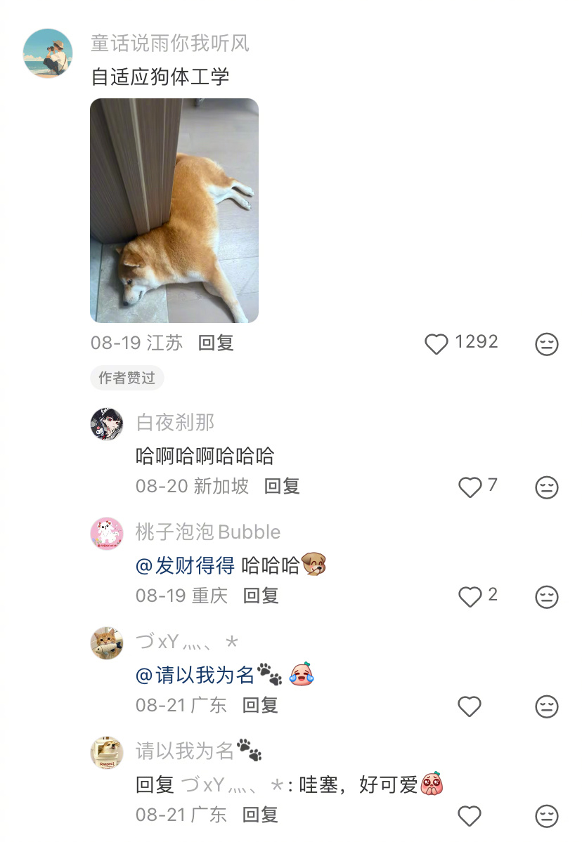 一面非常符合狗体工程学的墙 ​​​