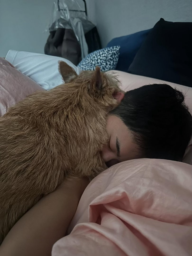 两只毛茸茸看得我心软软 🥺 