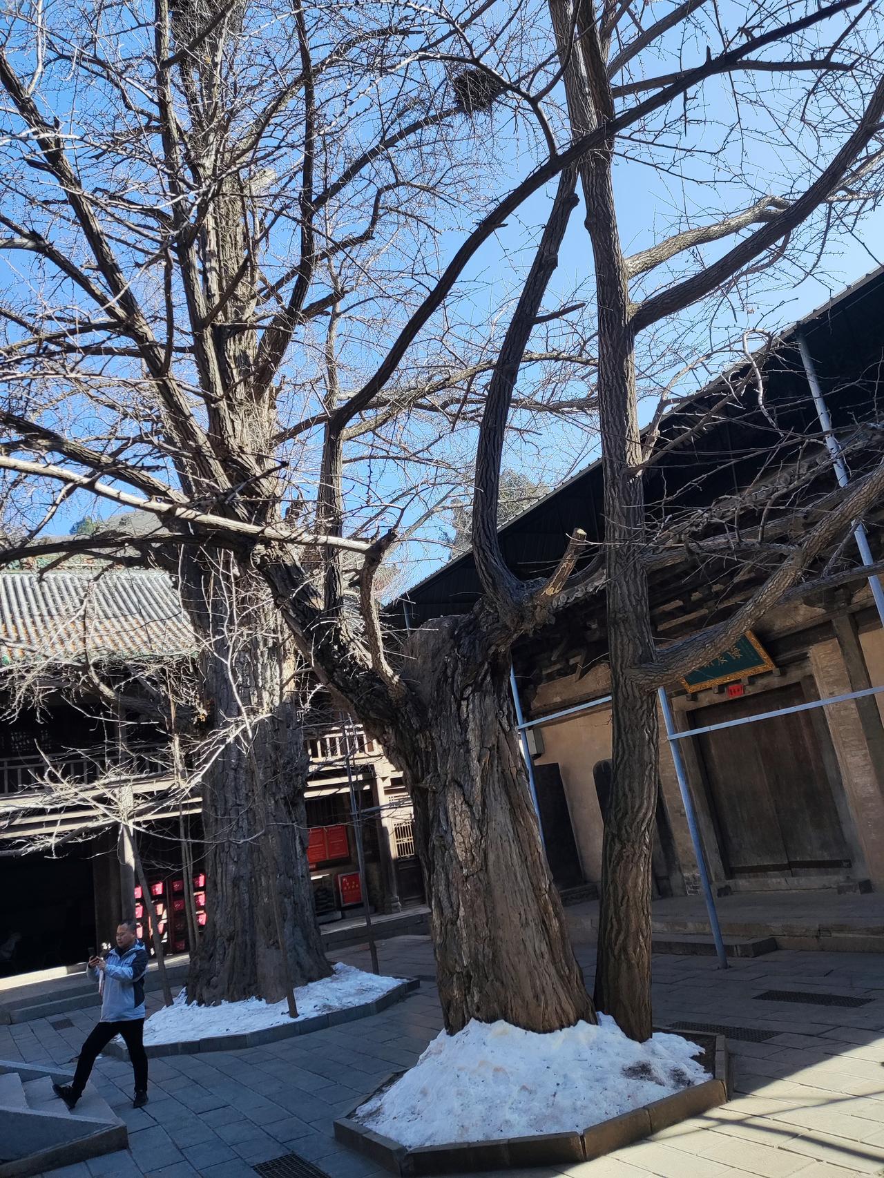 《道德经》第十章，藏着老子对人生最核心的6个追问，道尽做人做事的通透智慧。
 