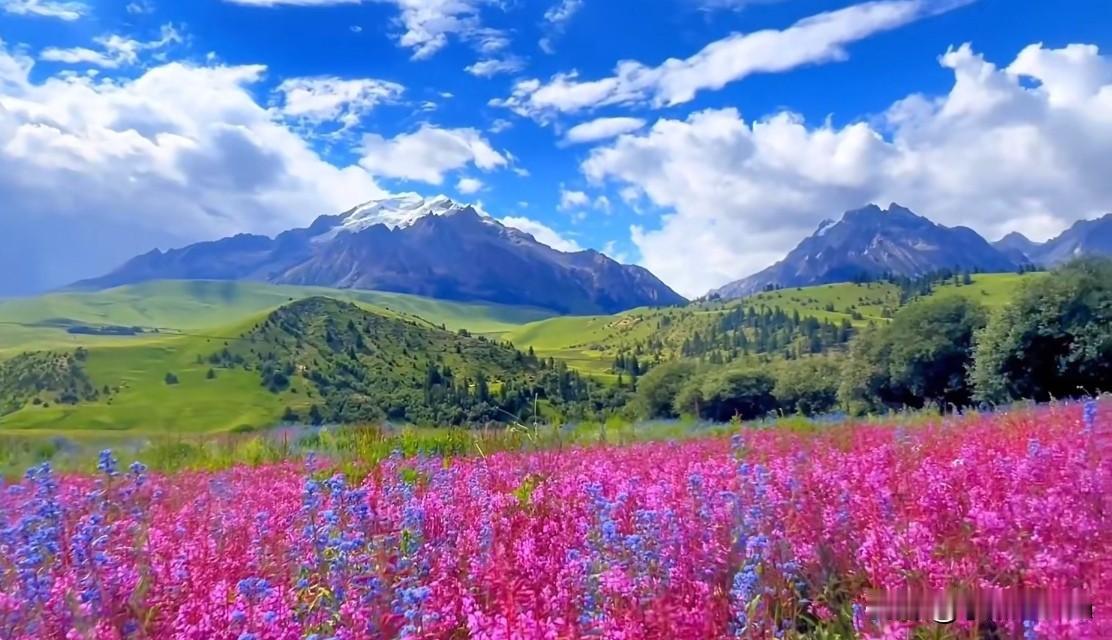 人生旅途，如同攀登山峰，每一步都踏着汗水与决心，只为那山顶的辉煌风景。