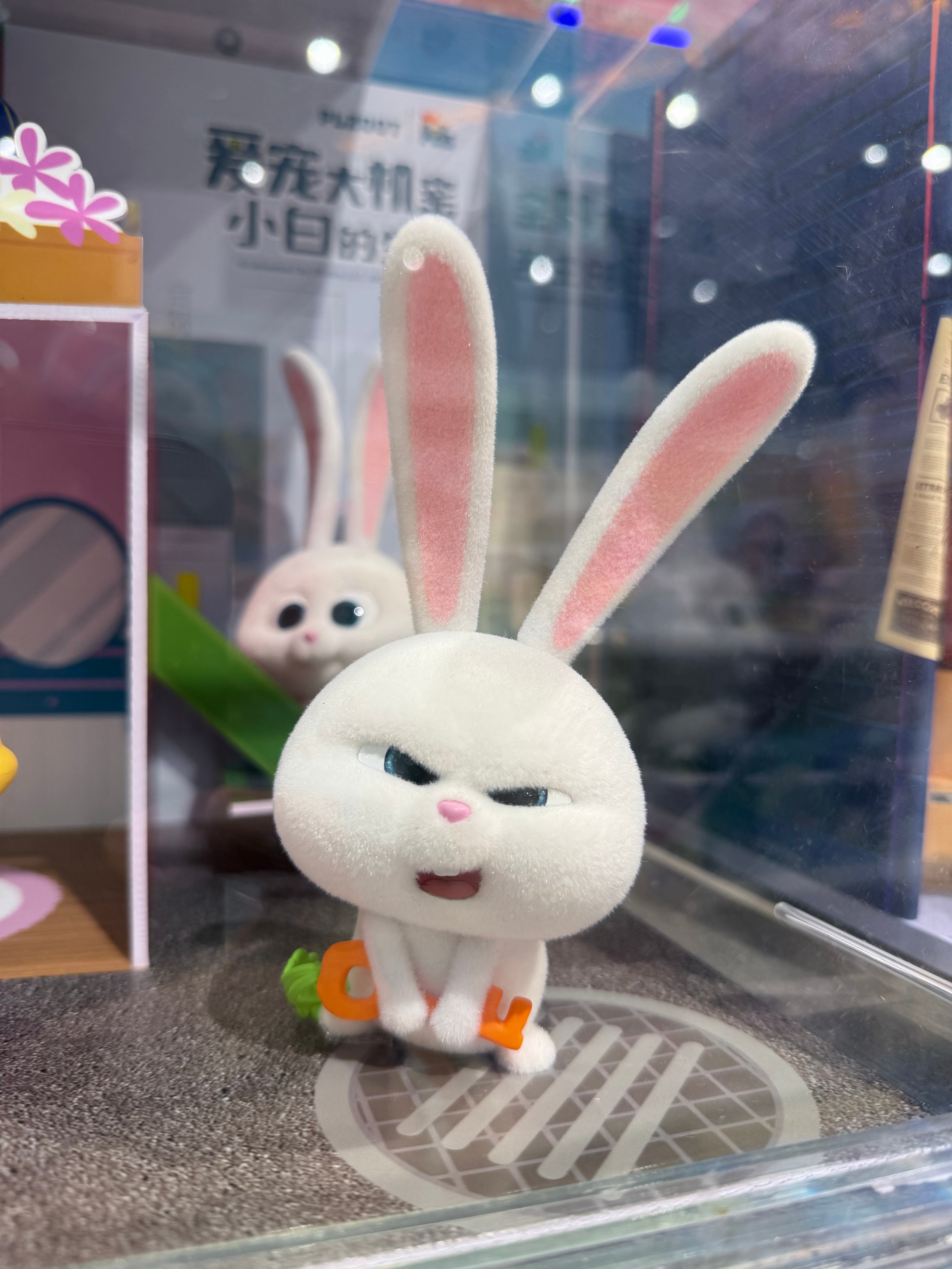 看到可爱的小白兔，可是已经不想拥有了，拍照留在手机里就等于是我的了，摆在家里不也