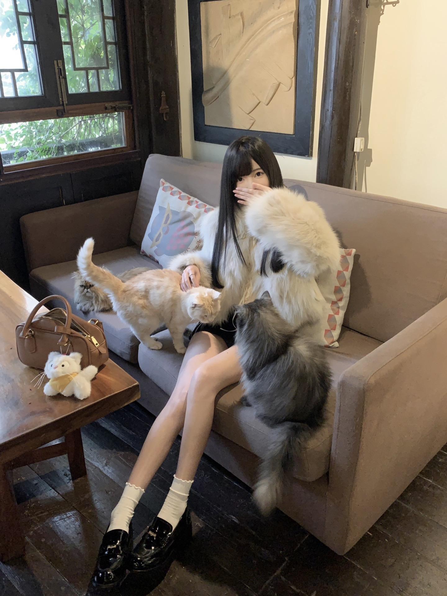 小猫 是我想见你的理由
