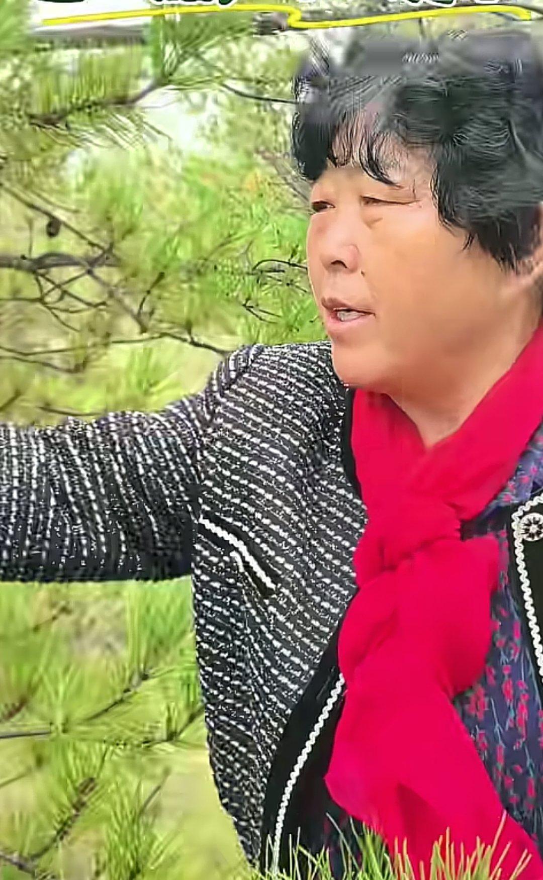 殷玉珍在接受《中国妇女报》访问时，说了句相当不留情面的真心话：她没领过林业方面的