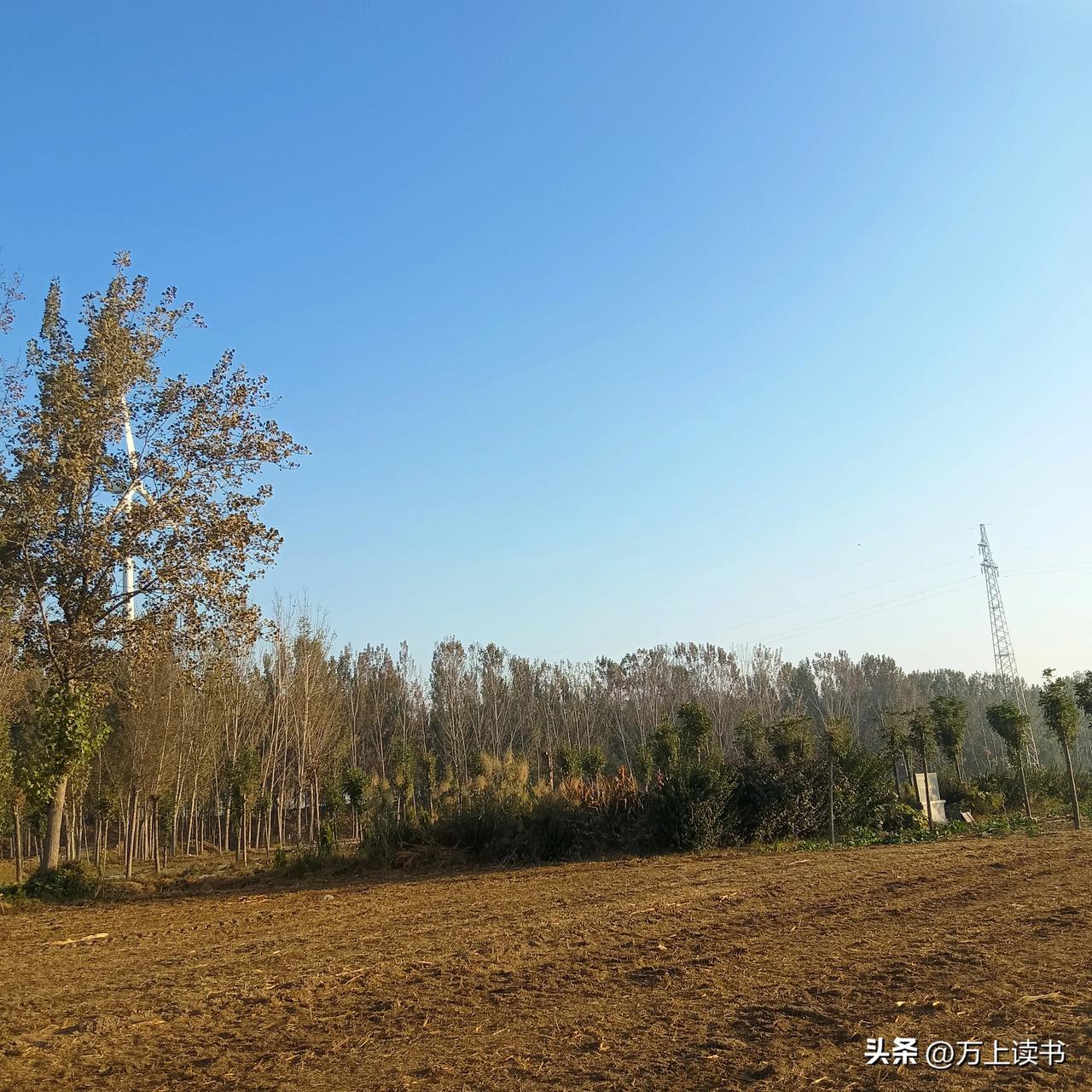 #秋日随记# 
人老秋不老，年年秋天各不同，秋的大野里收获着丰盛的五谷杂粮，供养