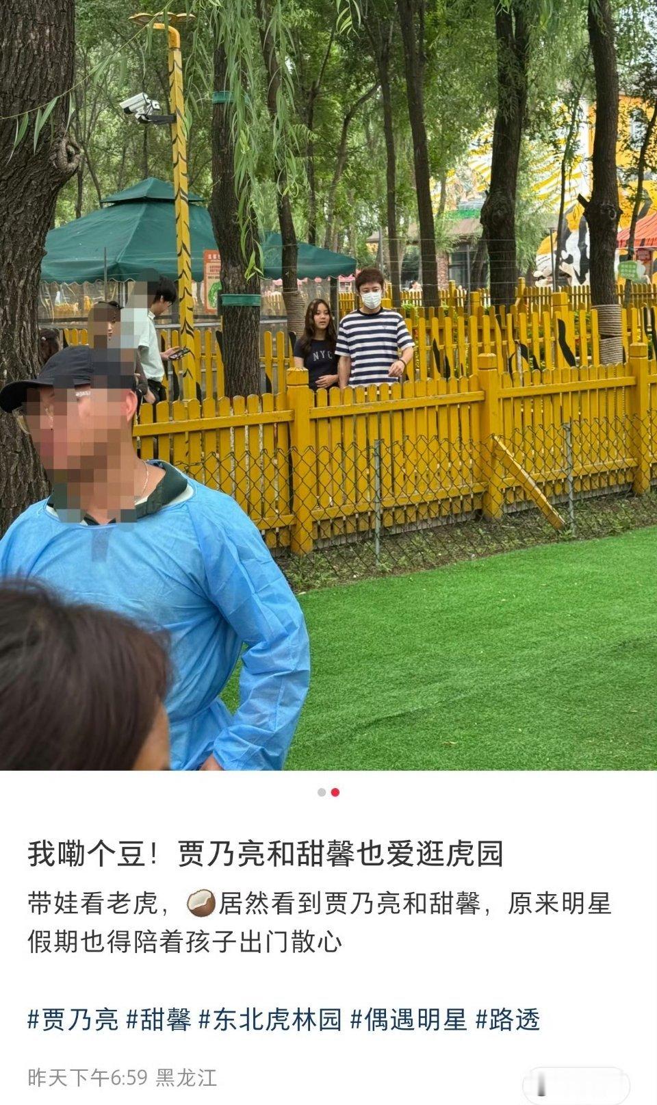 贾乃亮陪甜馨逛虎园🐯亮哥这条纹衫跟老虎配色撞衫了吧！甜馨看老虎的眼神比看老爸还