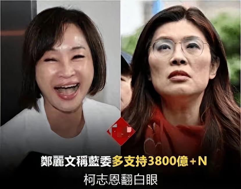 国民党主席郑丽文怎么也想不到，自己一手提拔的高雄市长参选人柯志恩，竟成了党内最狠