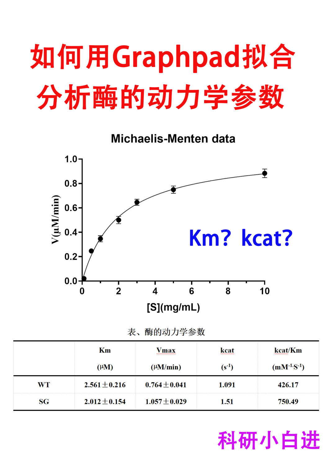 🔥如何用Graphpad拟合分析酶的动力学参数