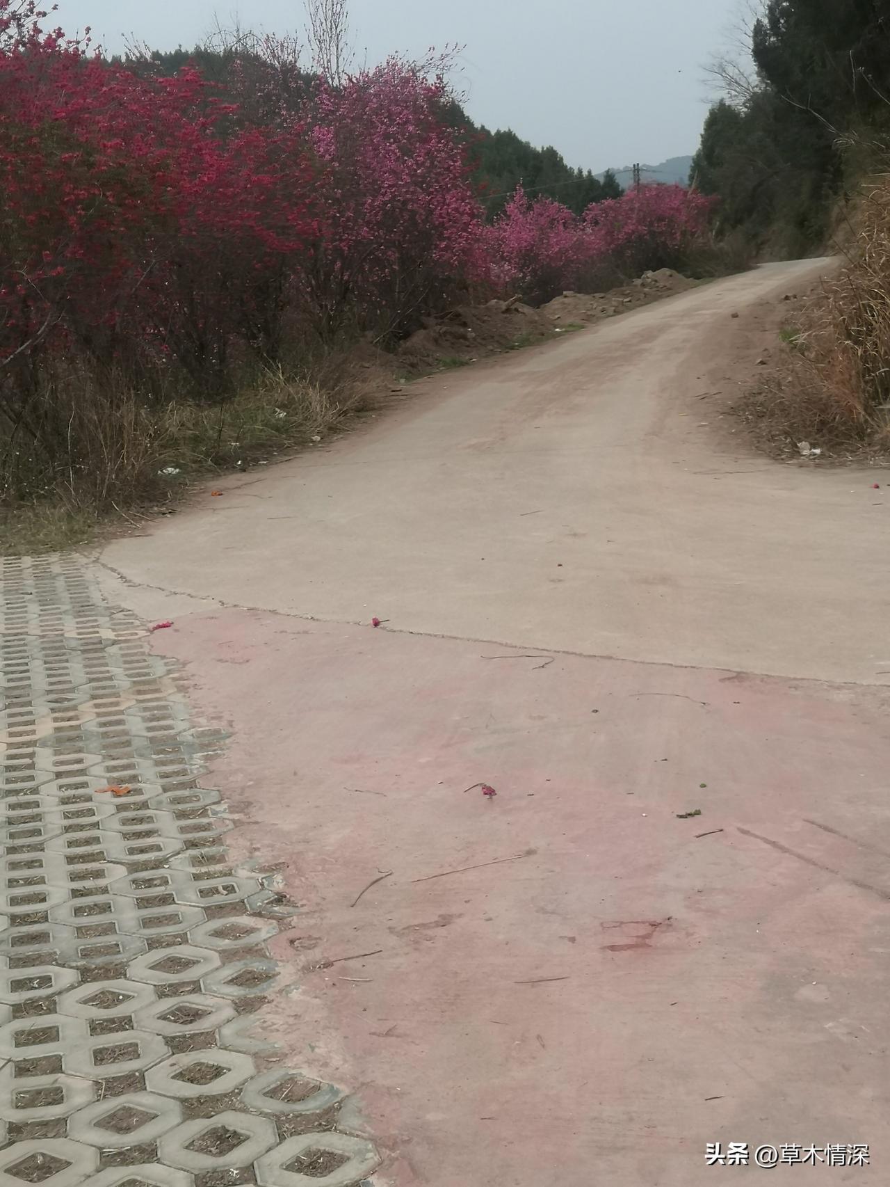 人生让你越来越相信的一句话是什么明天会越来越好，农村也是越来越好，风景也是越来越