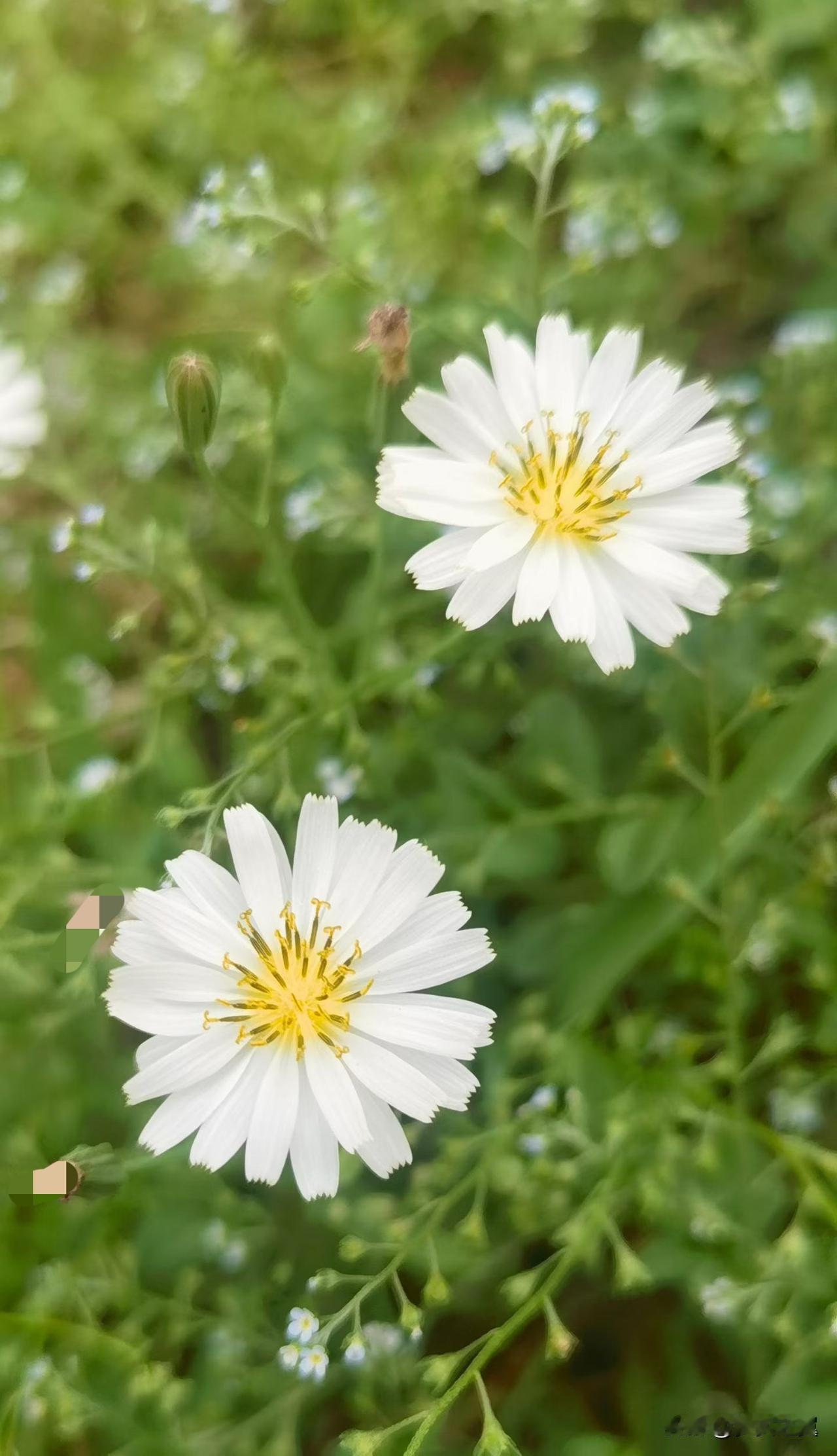 【小对联】
上：趣事；
下：……？