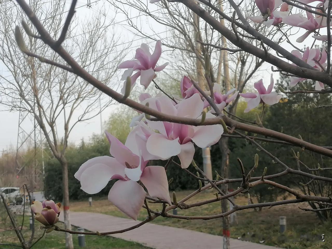 学语文，不仅仅是为了考试，更重要的是：好好说话！好好写作！好好读书！
这些能力是