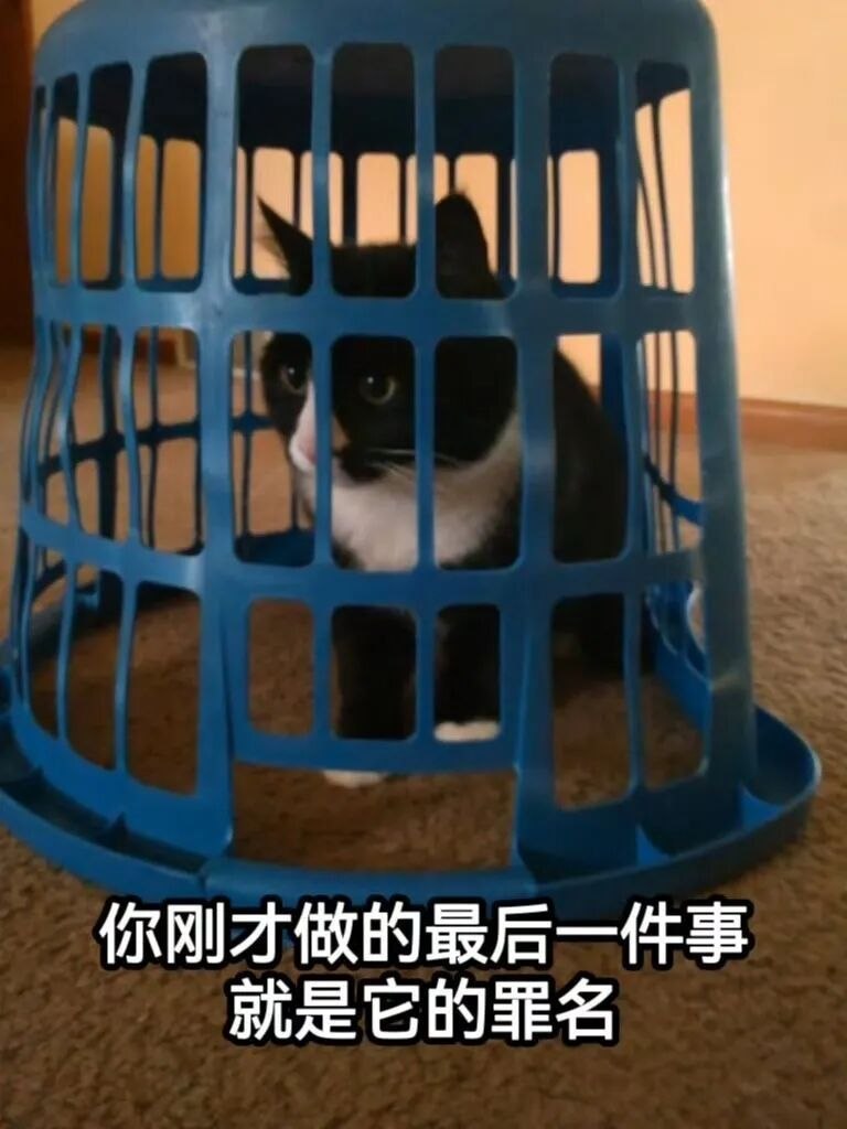 打游戏 ​​​