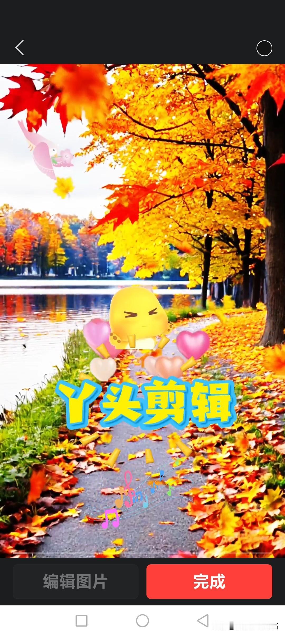 可以分享一张秋景树叶的照片吗当然可以！喜欢就好