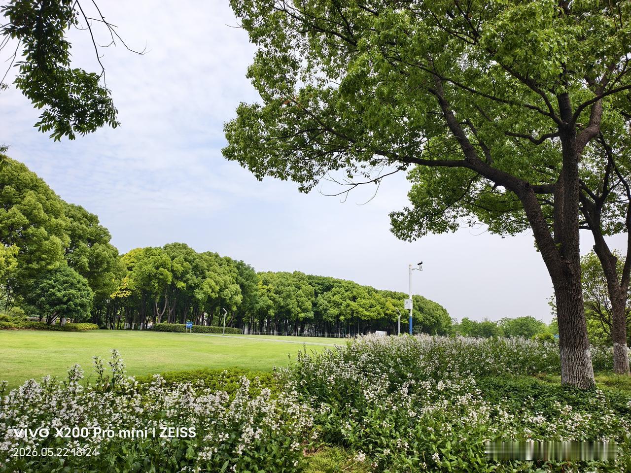 夏日生活打卡季