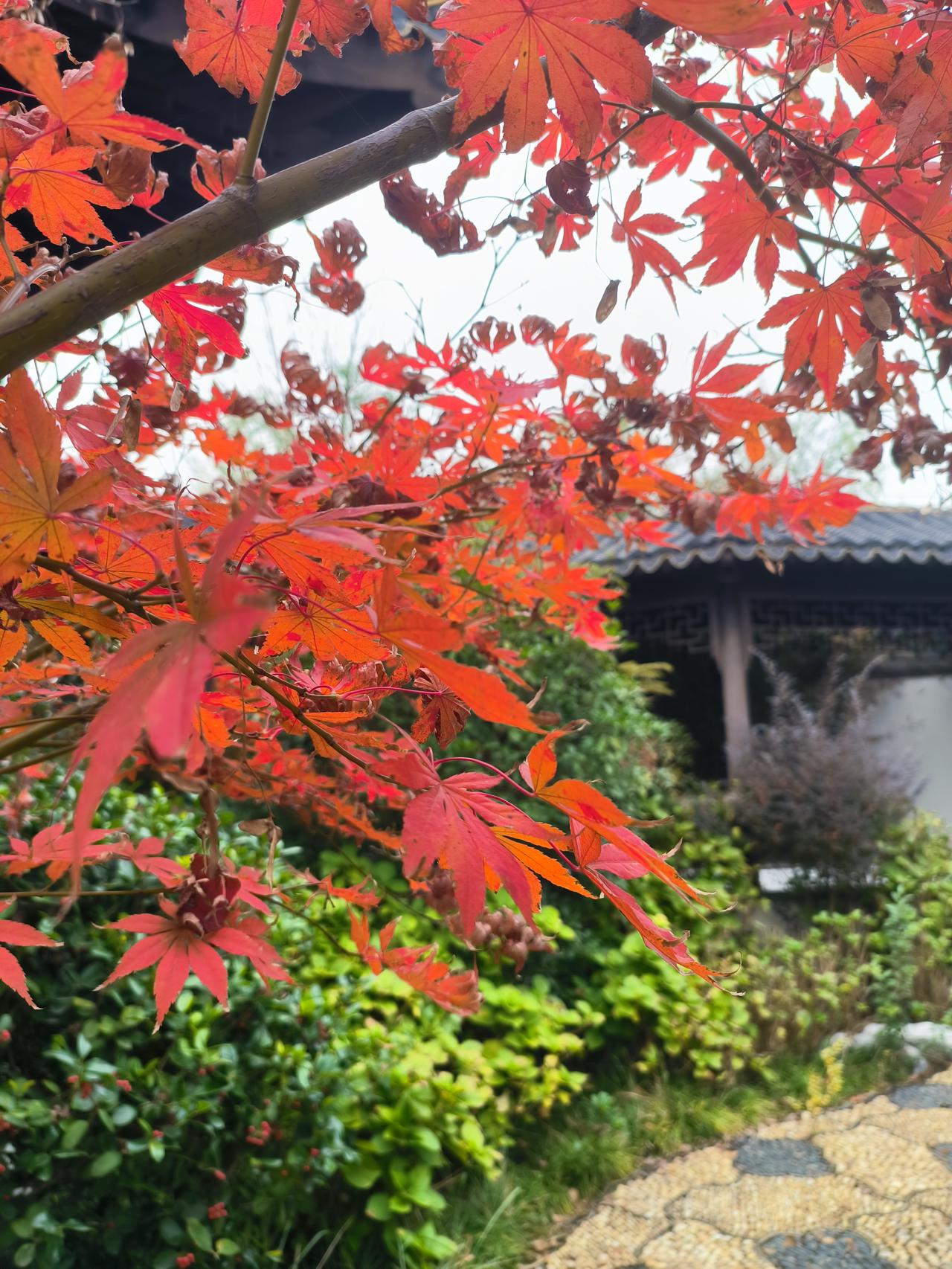 和老兄一起讨论在今日头条上写文章的事情。老兄写的文章，写人的，很实在，也很真实，