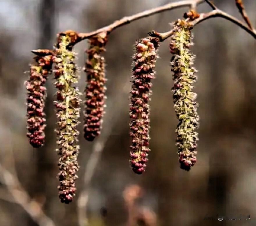 生活中有哪些残酷,现实的真相?

绝大多数人脉都需要实力交换 。酒席上交换的名片