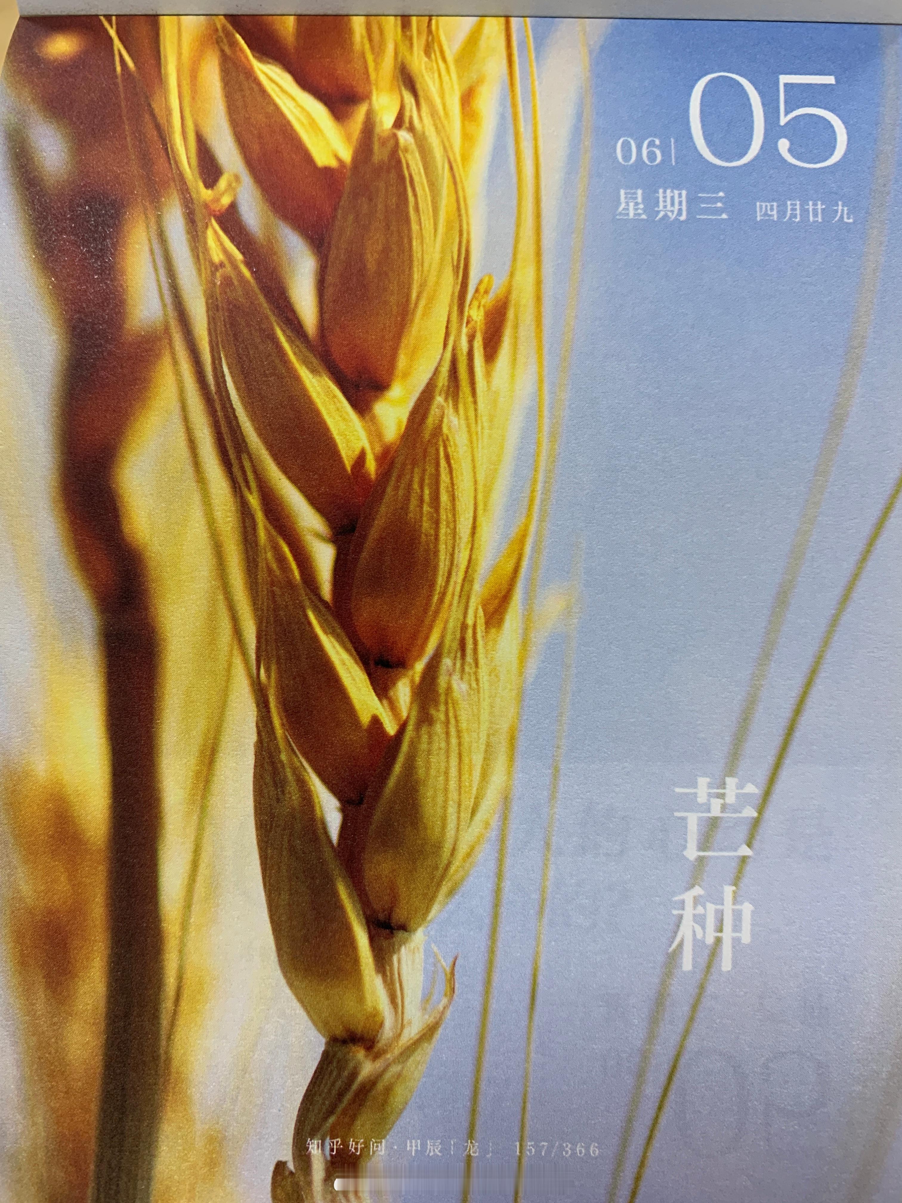 早安朋友们，今天 ​​​