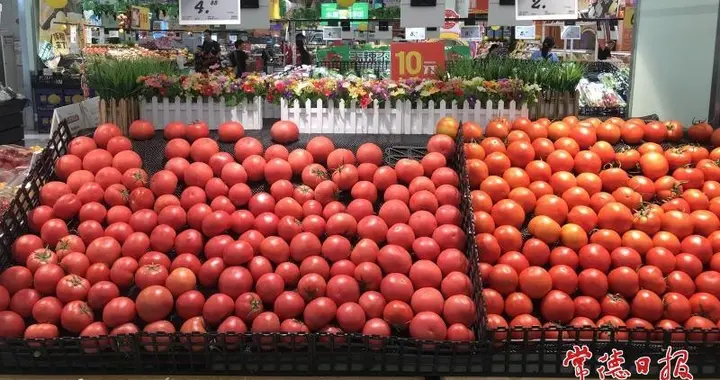 西红柿价格环比猛涨 西红柿炒鸡蛋，西红柿比蛋贵
