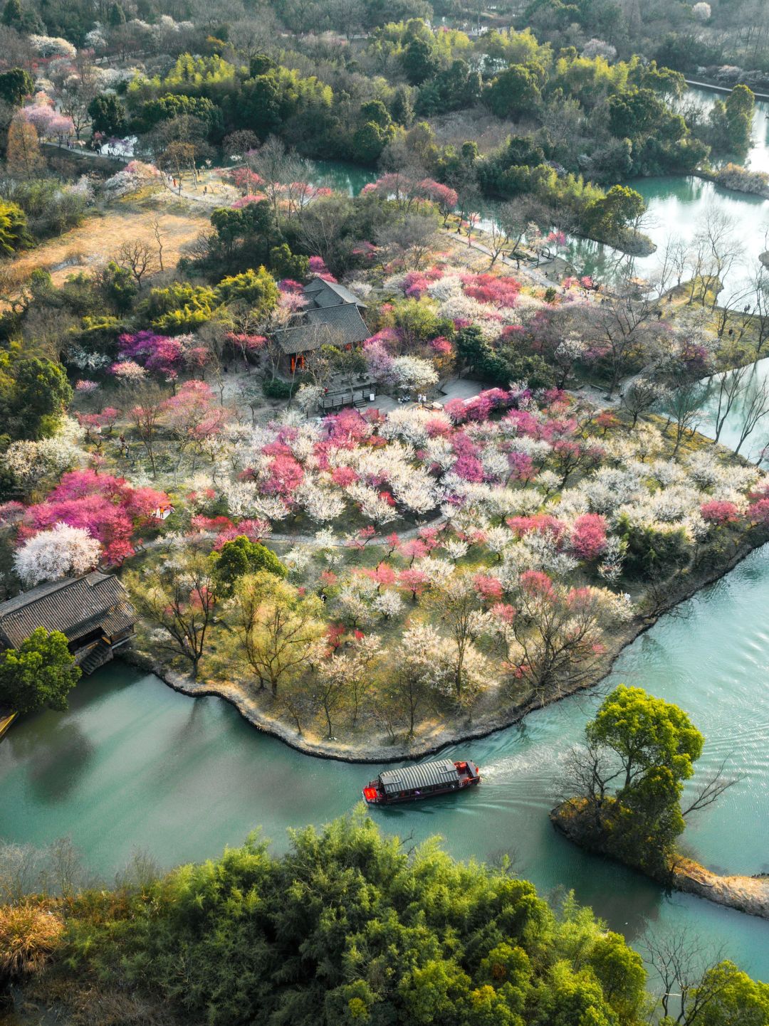 2024杭州梅花开了🌸分享这8️⃣个绝美赏花地