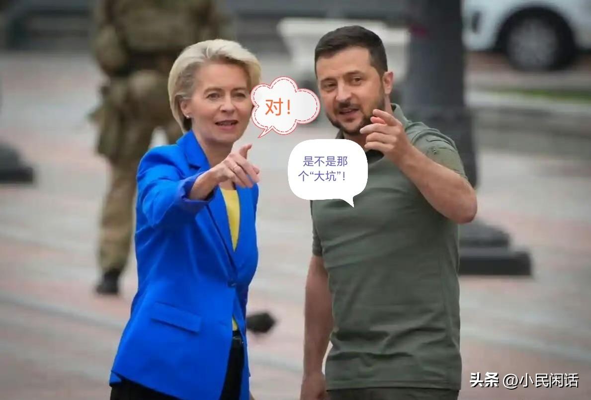 忽悠！接着忽悠！
欧盟委员会主席冯德莱恩表示