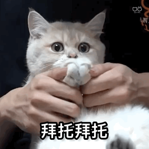 春节申遗成功  建议连放十五天庆祝下[你好] 