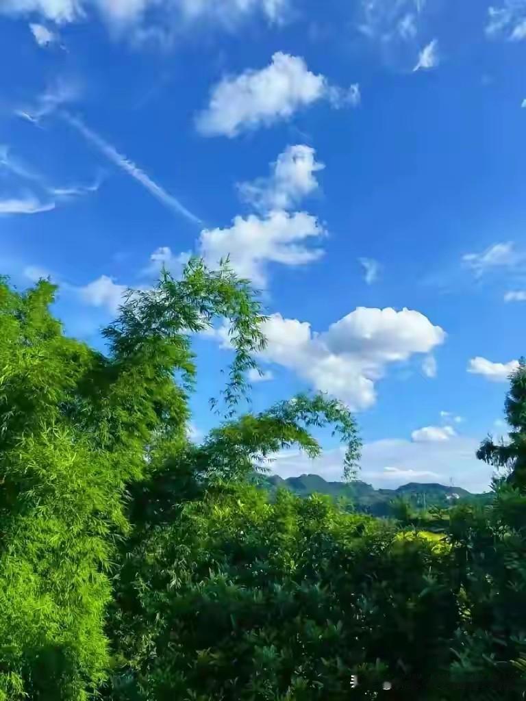 “当你接触的人越多，就会发现敢吵架、敢冲突、强势、不怕撕破脸、敢于不要脸的人，才