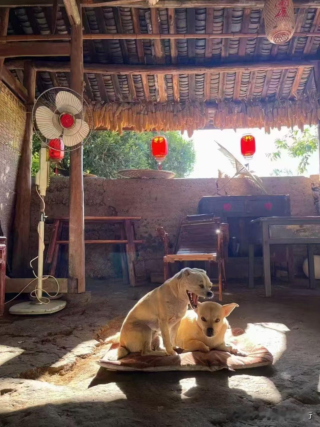 回首往事，我仿佛还能看到那个年轻的自己，在操场上追逐着阳光，满怀激情地挥洒着青春