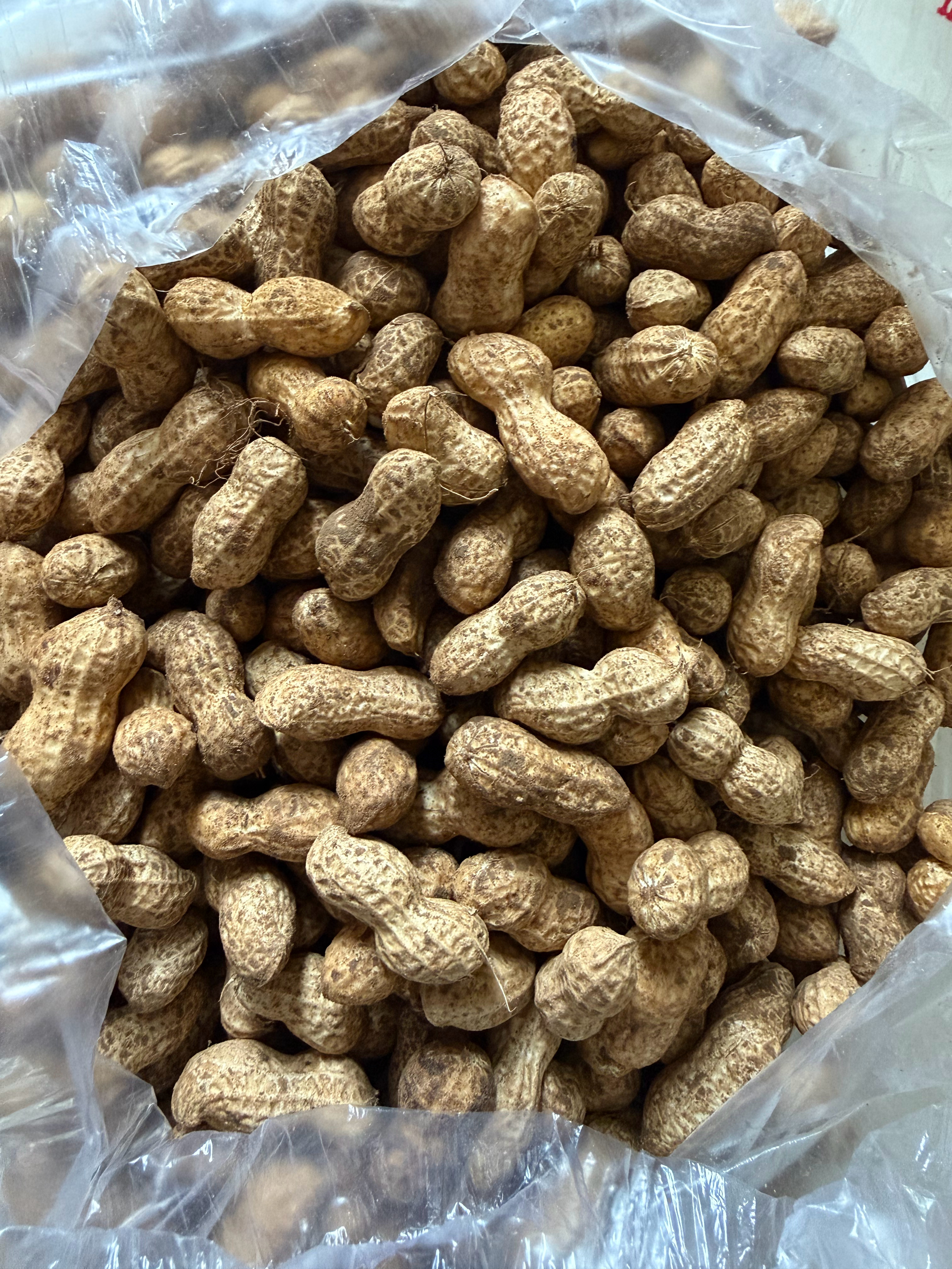 老爸去早市买一些花生🥜给我下命令了就喜欢我煮的，行动去！ 