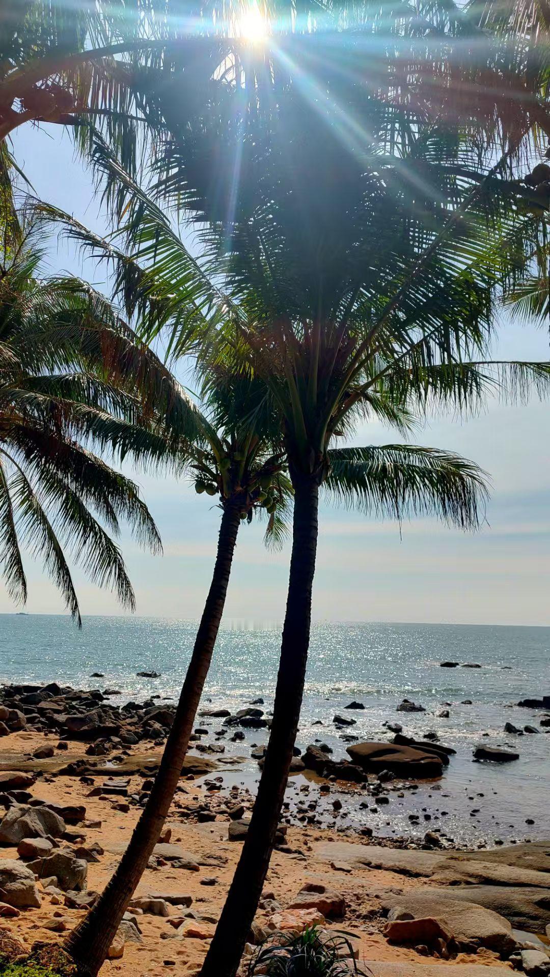 生活最好的样子，不是被别人认可和喜欢，而是懂得自我欣赏。不必讨好别人，也不用迷失