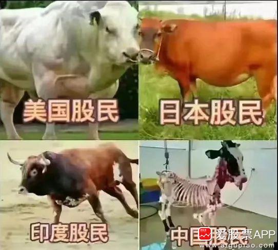 今晚，沪深交易所出征求意见稿，IPO上市门槛要变了。其中深沪主板最近一年净利润指