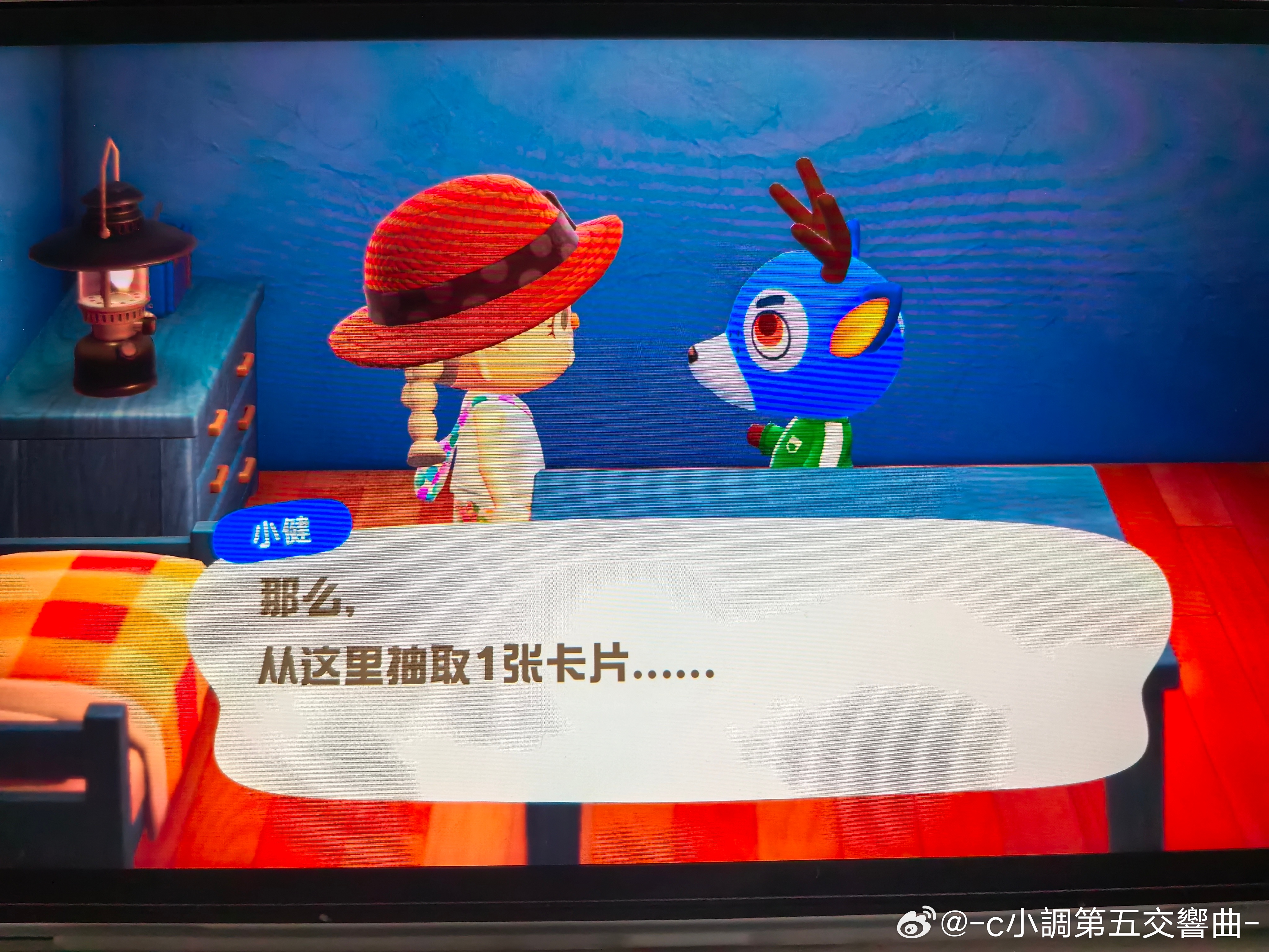 还能和小动物玩游戏！