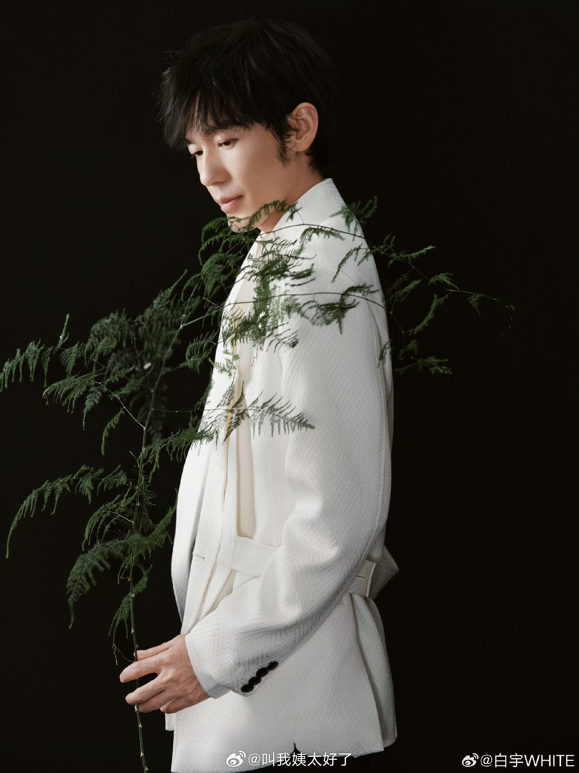 大家感觉白宇为什么没有收视缘？问题出在哪？ 