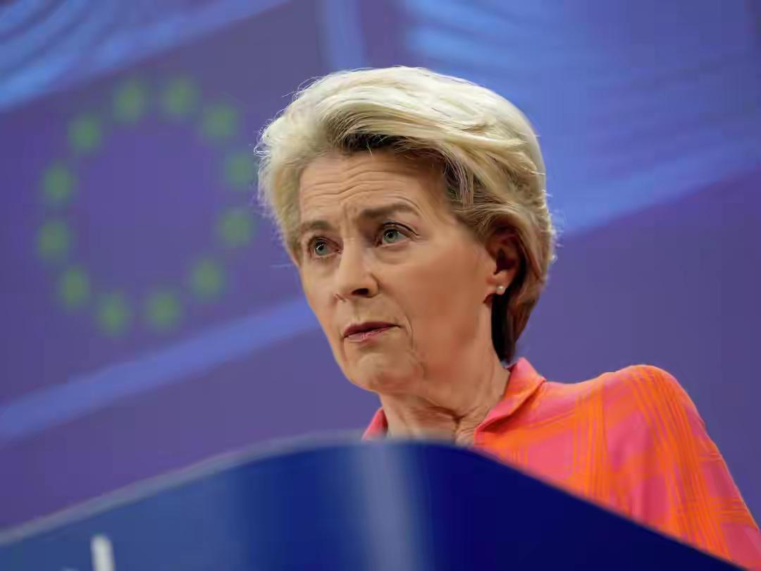 欧盟的领袖冯德莱恩总是牛哄哄的，插着公鸡毛在各种场合半夜鸡叫，搞得世界不得安宁，