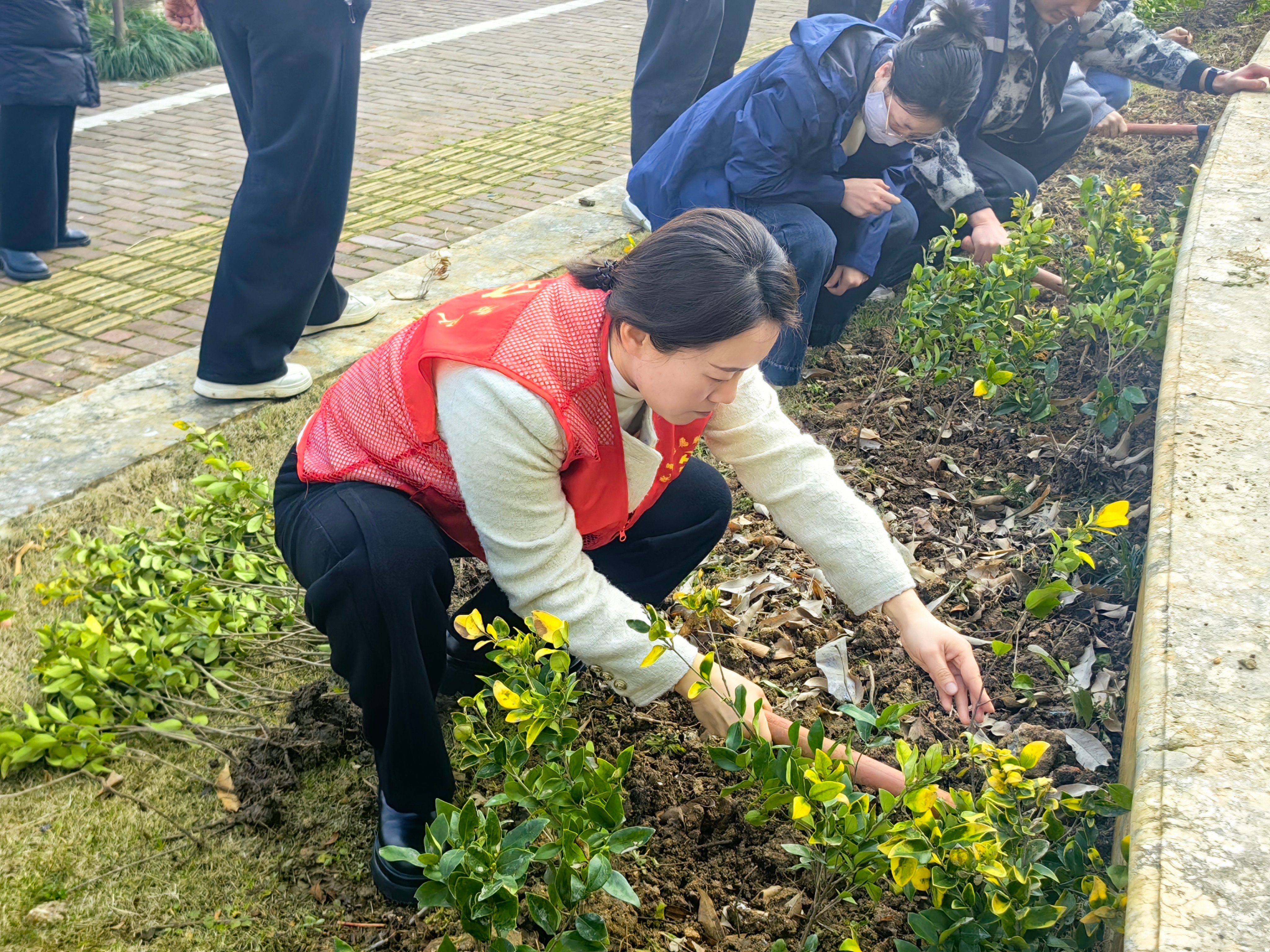 台州椒江三方共建绿美鸿南 三方合力，共建绿色家园2025年3月12日上午，台州椒