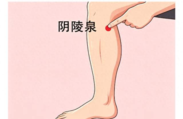 人体5个黄金祛湿穴！每天按一按，排净一身湿浊，一身轻松