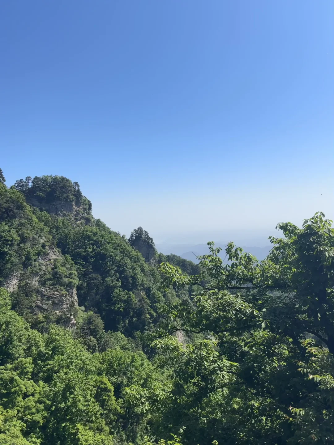 做事情不要去以折磨自己的方式去做，就是非得证明什么，非得做到怎么样；以这样一种苦