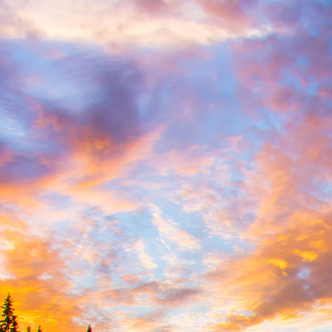 𝘀𝗵𝗮𝗿𝗲｜𝙒𝙚𝘾𝙝𝙖𝙩｜壁纸分享｜全屏壁纸｜无水印 不管