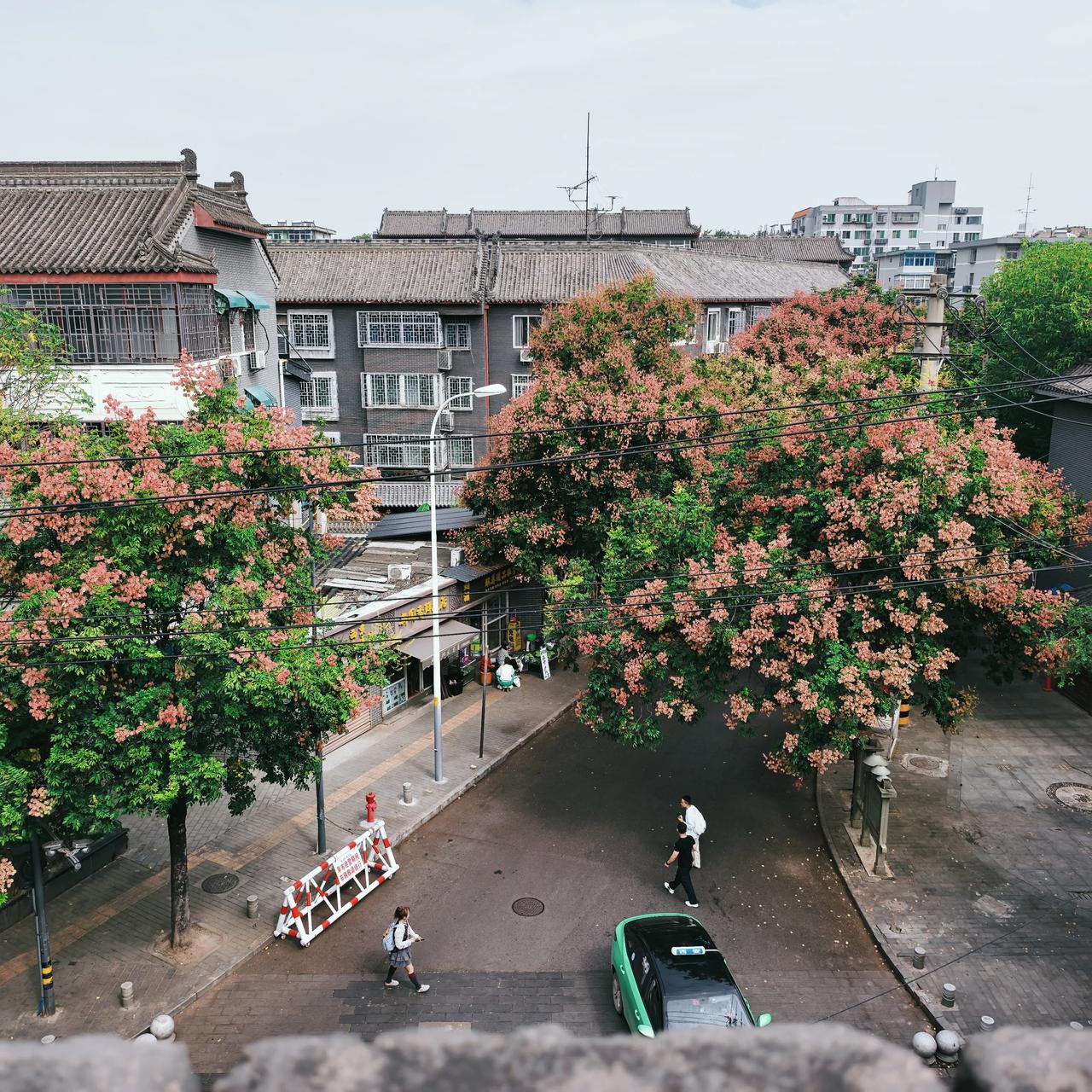西安城墙下的一个小小街口，栾树如花，热烈大气，秋色宜人。