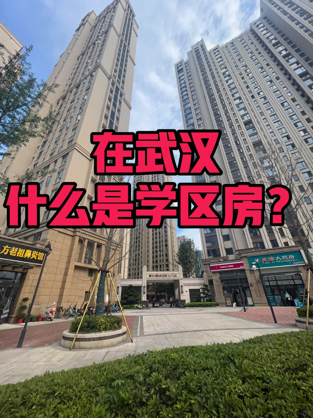 你真的懂什么是学区房吗?（专治纠结症）