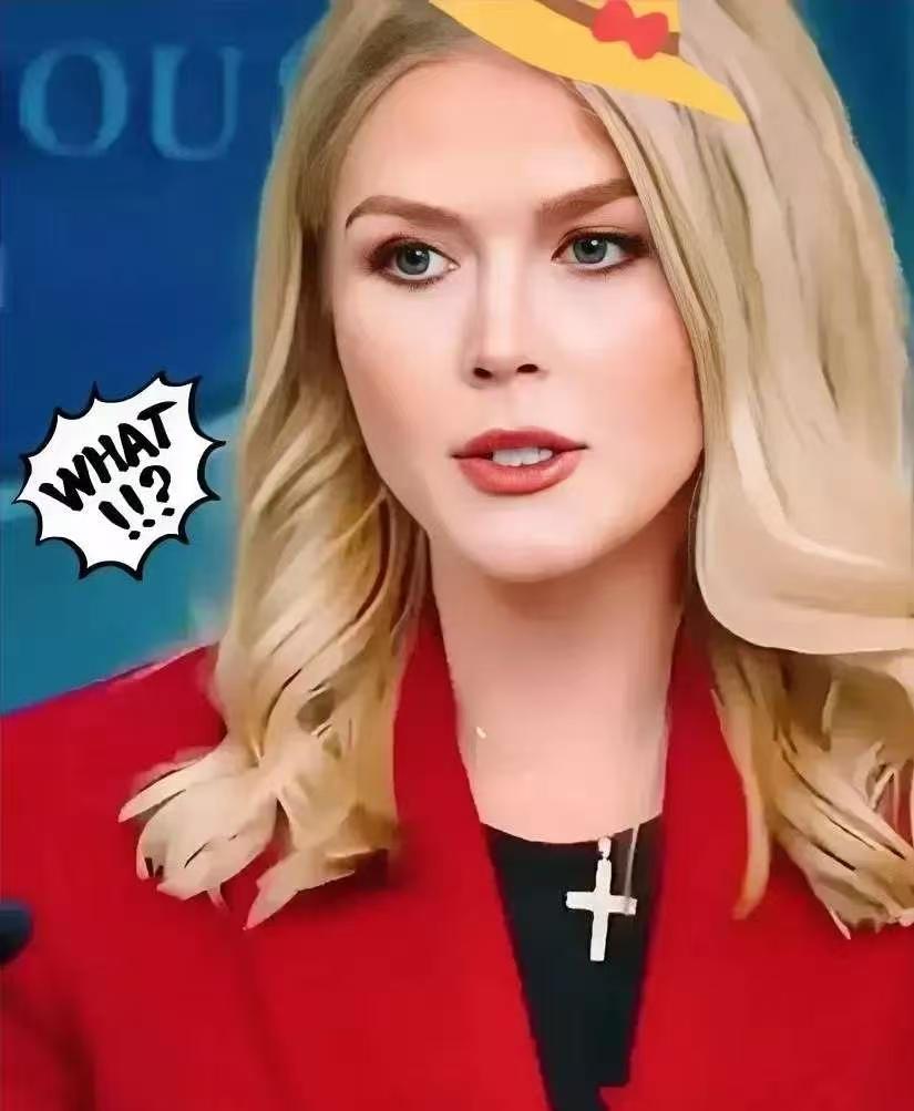 美国白宫消息：

2025年11月25日，白宫新闻秘书莱维特公开宣布，本周内美国