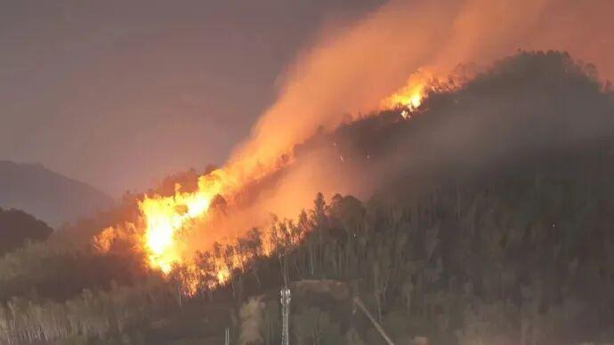 近日，青岛市城阳区人民政府发布了关于对森林高火险区实行封闭管理的通告。辖区内森林